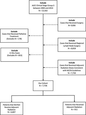 Factors associated with the use of adjuvant radiation therapy in stage III melanoma